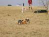 bild13