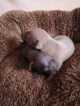 IMG-20200824-WA0006