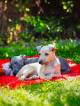 IMG-20220725-WA0001