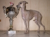 Austellungssieger vom Sausewind mit Pokal