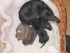 Nesthäcken mit Welpen